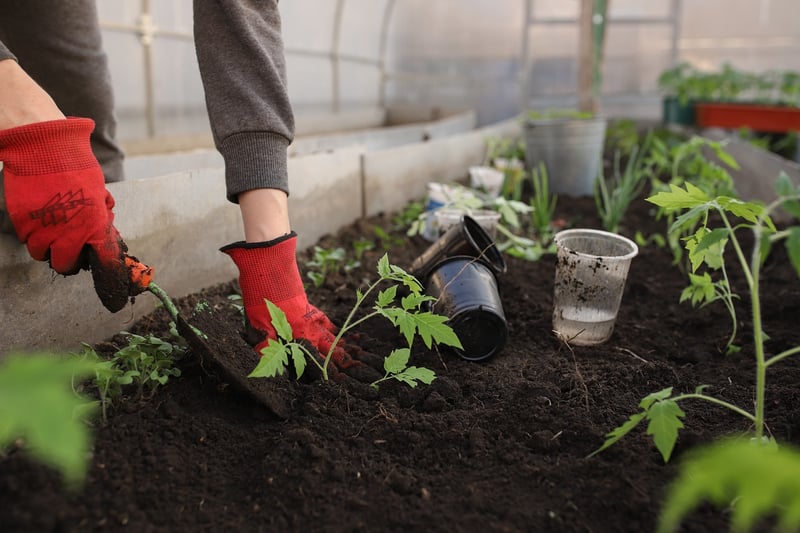Compact Garden Beds